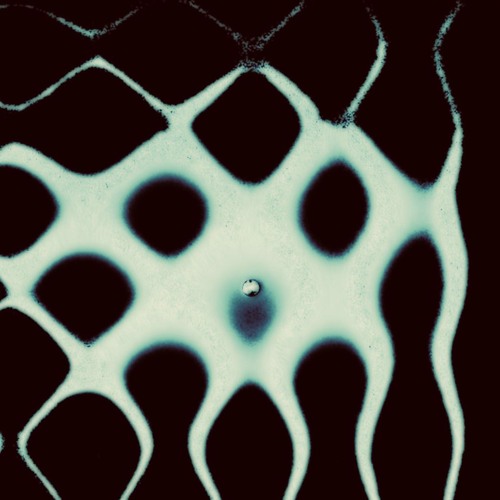 Stellar (vocal extract)