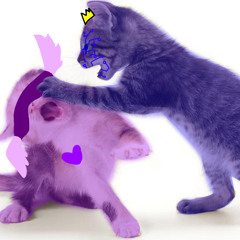 Chonny jash stuf