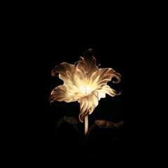 Midnight X sweater Complete vers (slowed)