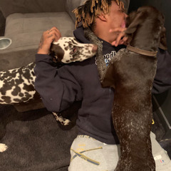 Juice WRLD - Animal Session (New Leak)