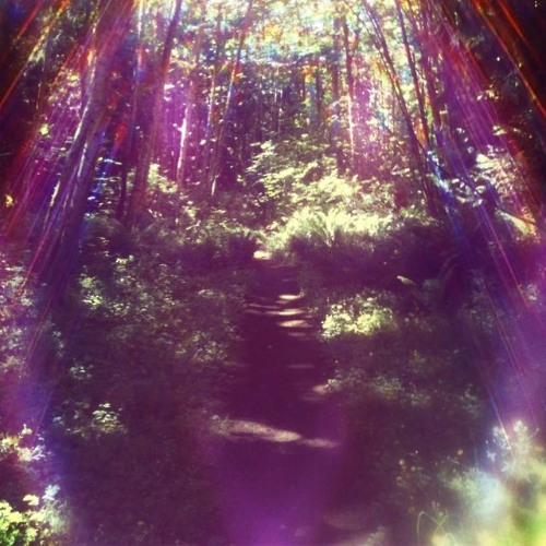 phases - [p.yvngonce]