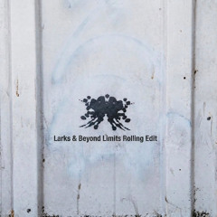Best Be Believing (Beyond Limits, Larks Edit)