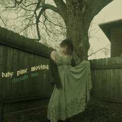 baby pine moving (swimming in gauze)