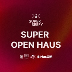 SUPER OPEN HAUS