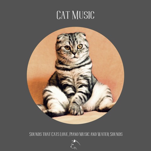 Stream Cat Music Sounds that Cats Love, Piano Music and Water Sounds by Music for Cats Project