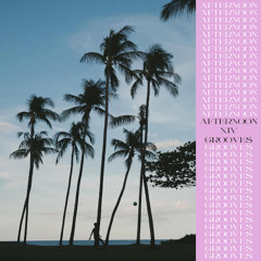 Afternoon Grooves vol.14