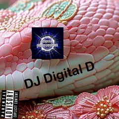 DJ Digital D