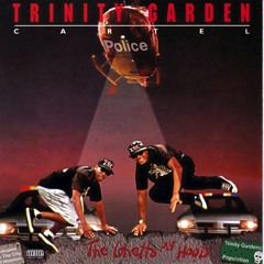 Stream Don't Blame It on Da Music by Trinity Garden Cartel
