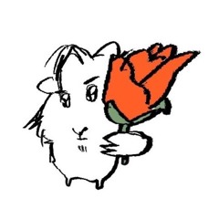 라디오스타 최상엽 - 씨스루