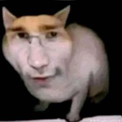 Wake Up (philosophical)