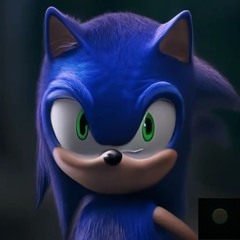 Sonic The Hedge Fund