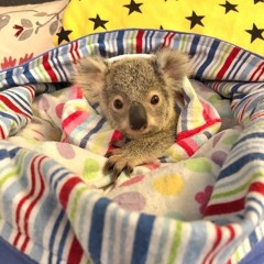 이건넘신나자나