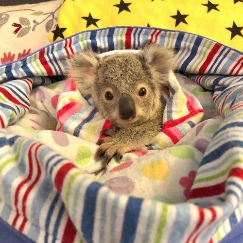 이건넘신나자나