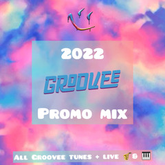 2022 Groovee Promo Mix (All Groovee tracks with LIVE SAX & KEYS over DJ set)
