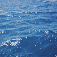 THE HUMAN EXPERIENCE (2025)