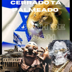 CERRADO TA PALMEADO