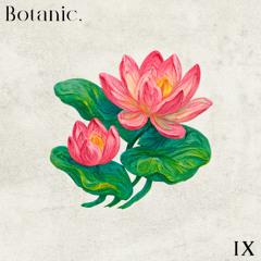 Botanic Sprout - 3.9 - Amrl