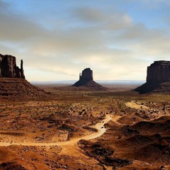 Death Valley(Gloomy Flower)