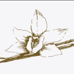 vanilla baby - billie marten