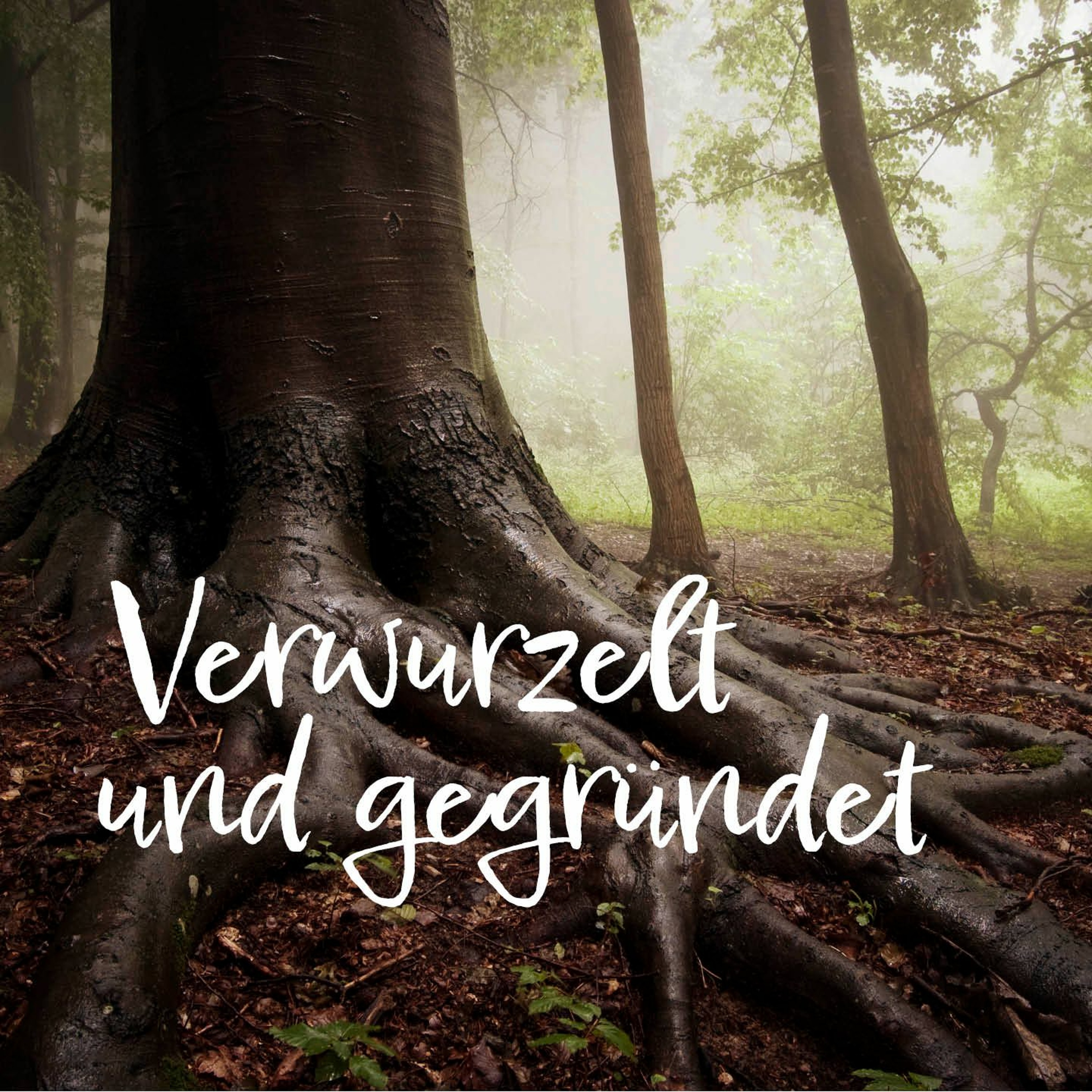Viva Kirche Mannheim