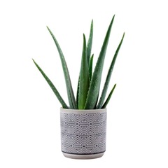 this is all mine (first verse first take)