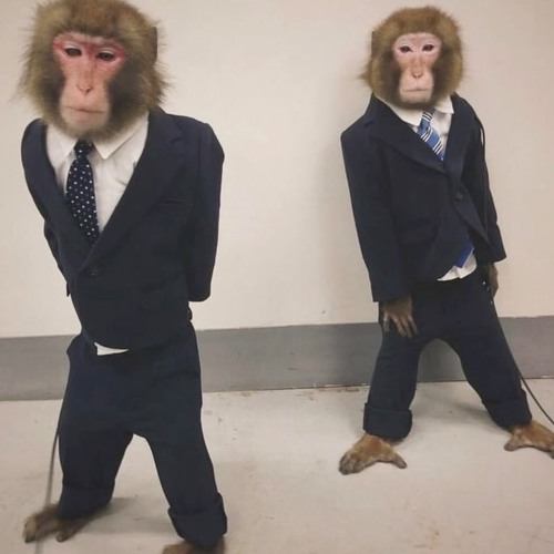 Walk (2023)