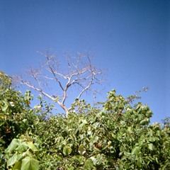 Going Somewhere….?