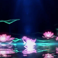 蓮の花 𝔏 𝔬 𝔱 𝔲 𝔰 //