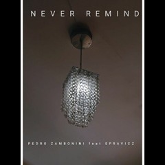 Never Remind feat. Spravicz