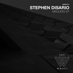 Premiere: Stephen Disario "Isolate" - Say What?
