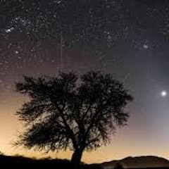 california dreamin ripoff (1?)