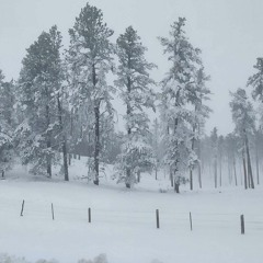 First Snowfall