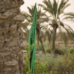 بوی بهشت می‌وزد از کربلای تو مرحوم کوثری