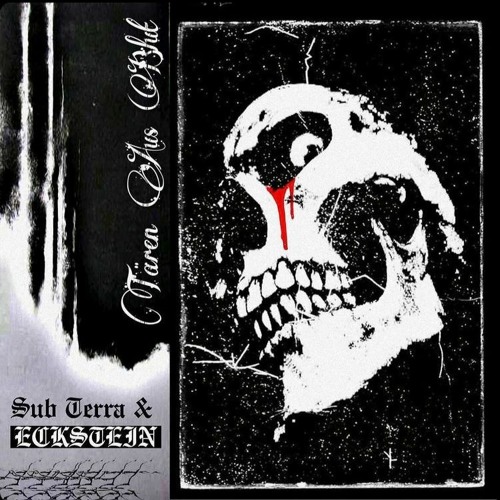 Sub Terra & E̸C̸K̸S̸T̸E̸I̸N̸ - Tränen Aus Blut