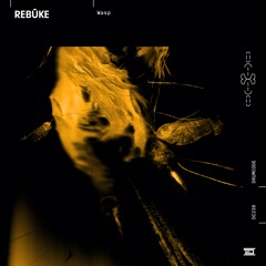 Rebūke - Wasp [Drumcode]