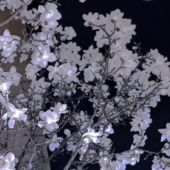 daddy issues remix by the neighbourhood | slowed