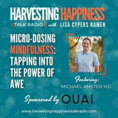 Micro-Dosing Mindfulness: Tapping into The Power of Awe with Michael Amster MD