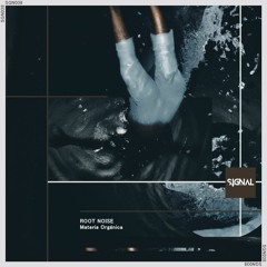 Root Noise - Bakuph (Original Mix)