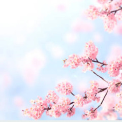 Maybe Next Spring for solo piano