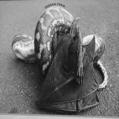 This is the second death.