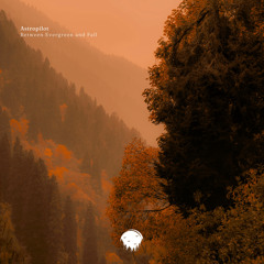 Between Evergreen and Fall