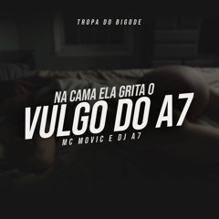 NA CAMA ELA GRITA O VULGO DO A7 - MC MOVIC E DJ A7 - TROPA DO BIGODE