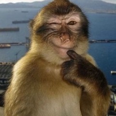 QIMP #SEKSIMAYMUN CANSU DISS SNIPPET 1