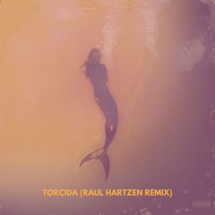 Bresh - Torcida (Raul Hartzen Dance Remix)