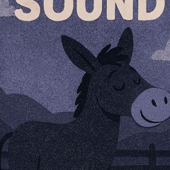 Save and Sound (HARDSTYLE Edit) Gesundheit