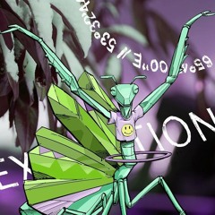 Expedition Südpol - August 25