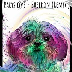Baryz Live -Sheldon (Remix)