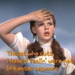 NOT IN KANSAS ANYMORE