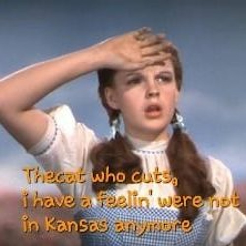 NOT IN KANSAS ANYMORE