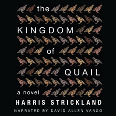 David Allen Vargo - Literary Fiction - THE KINGDOM OF QUAIL Southern multiple characters M-F party scene